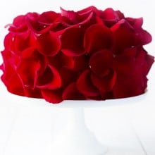 玫瑰蛋糕食谱-用新鲜玫瑰制作(可食用!
