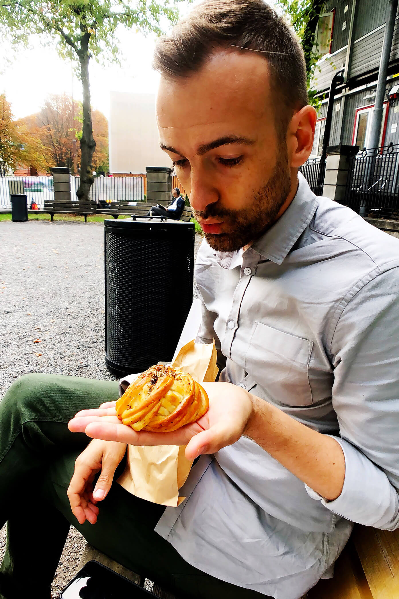 瑞典斯德哥尔摩公园里的小豆蔻面包