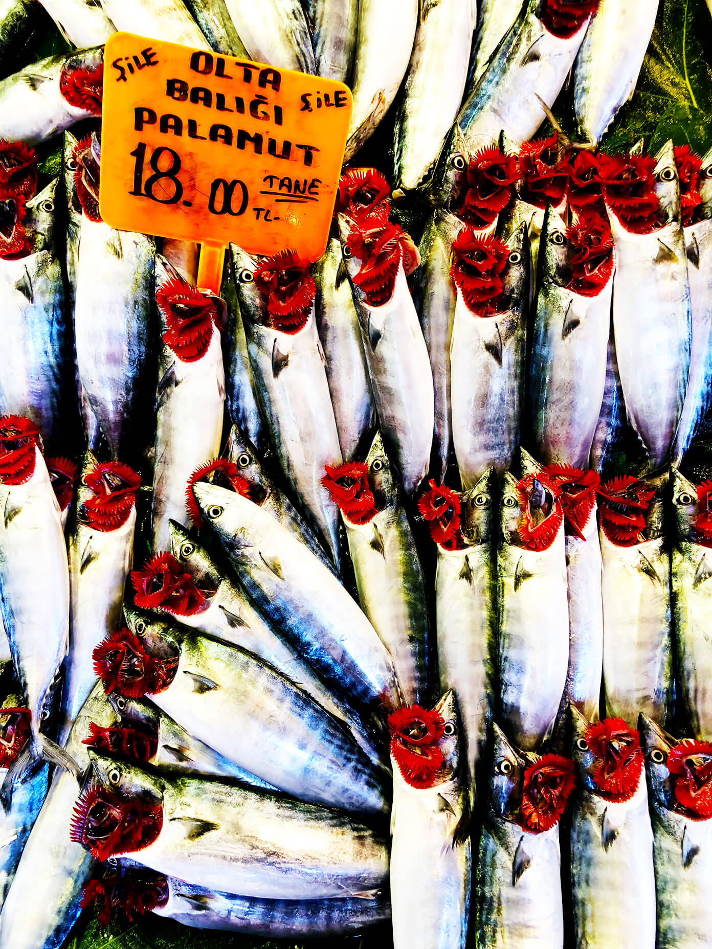 伊斯坦布尔的鱼市场