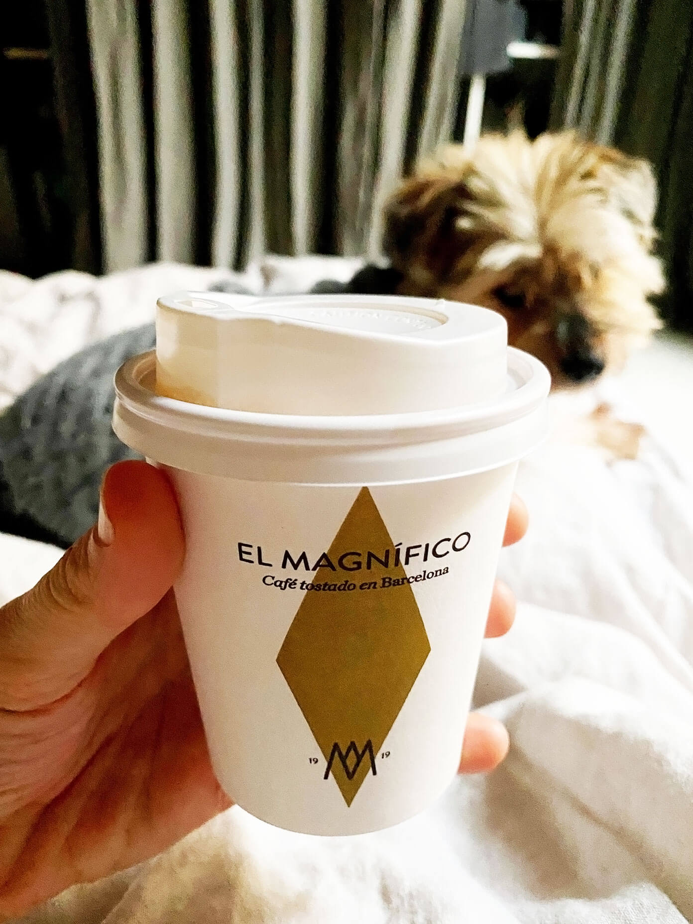 巴塞罗那的El magno咖啡